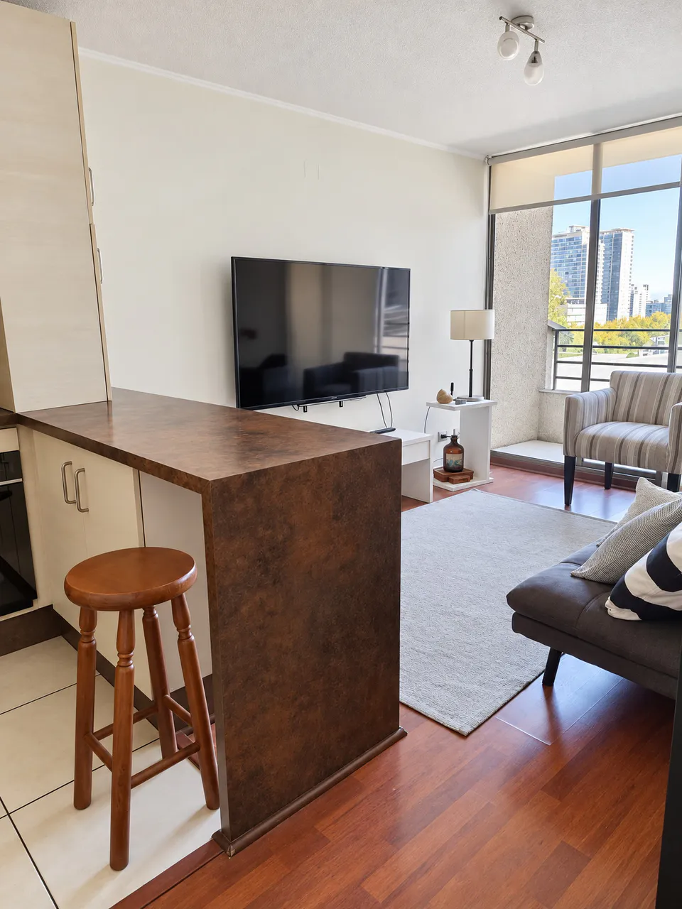 Living comedor 2